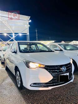 شانجان السفن